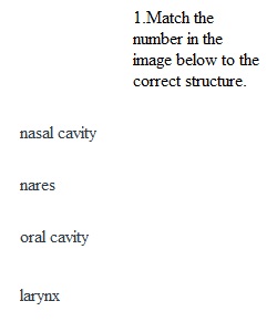 Module 9 Quiz